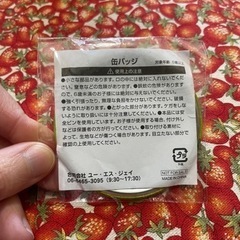 セサミストリート 缶バッジの画像