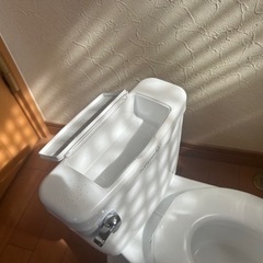 マイサイズ ポッティ summer トイレトレーニング 子供用トイレ 便器の画像