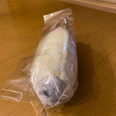 東武動物公園限定 ゴマフアザラシ　もちもちヌイグルミの画像