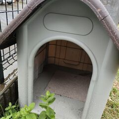 犬小屋