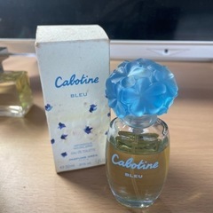 カボティーヌ　ブルー