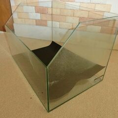 テラリューム水槽の画像