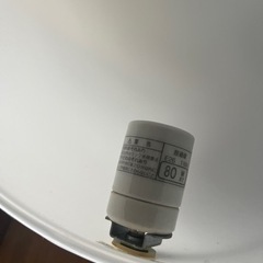 たまご型間接照明🥚の画像