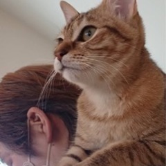 人大好きのお茶目な女の子です
