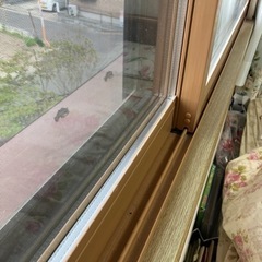 半額以下に値下げ❗️真夏の冷房維持に最適‼️ＹＫＫAPプラマードＵ内窓樹脂サッシ(複層ガラス)                     定価56,910円の画像