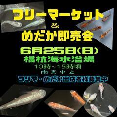 めだか即売会とフリーマーケット