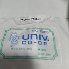 白衣　男　大学生協　170~178長袖