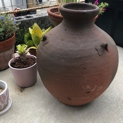 お問い合わせがありがとうございます。取引者まりました。植木鉢もらってくださいの画像