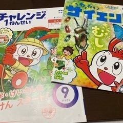 今週決まらなけば削除します！チャレンジ　教材　英語　一年生　ほっぷ　ひらがな　遊び　dvdの画像