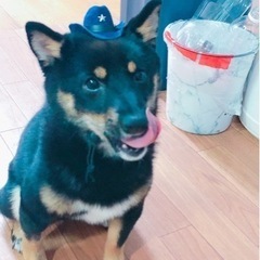 家族として可愛いがってくれる方 - 浦添市