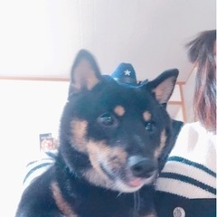 家族として可愛いがってくれる方 - 犬