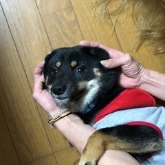 家族として可愛いがってくれる方 − 沖縄県