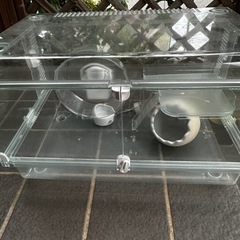 ハムスター GEXグラスハーモニー450の画像