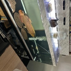 大理石柄アクリル上部濾過水槽1800.600.600の画像