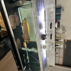 大理石柄アクリル上部濾過水槽1800.600.600の画像