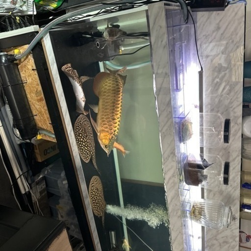 大理石柄アクリル上部濾過水槽1800.600.600