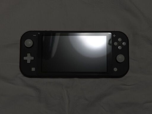 ★ Nintendo Nintendo Switch Lite グレー HDH-S-GAZAA ケース付き 中古 ★