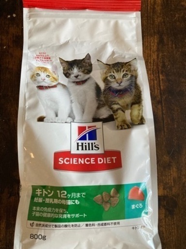 仔猫のご飯・餌セット