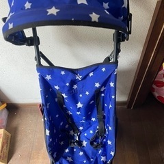 バギーの画像