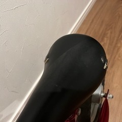 キックバイク　コストコ購入の画像