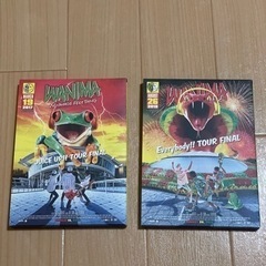 WANIMA DVD