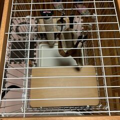 猫ケージの画像