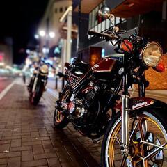 gsx250e ゴキ 