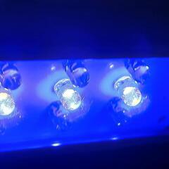 美品！700円美品  水槽用LEDライトの画像