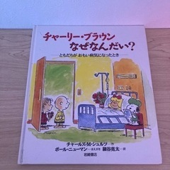 チャーリー・ブラウン なぜなんだい？の画像