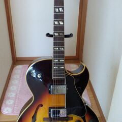 ハワイアンバンドを目指しています
