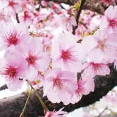 【高時給バイト】時給1200円〜の画像