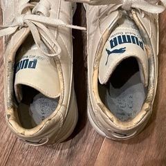 フットサロシューズ 白の画像