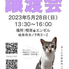 岐阜市💜🤍保護猫譲渡会🤍💜