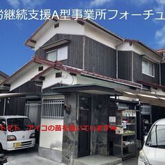 ミニトマト　アイコ苗　100円 ご好評につき残り3鉢です
