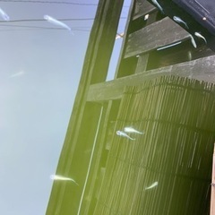 メダカ（初心者向け）の画像