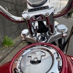 超綺麗‼️ハーレーダビットソンの画像