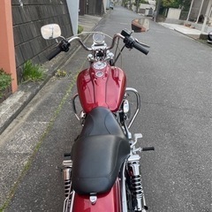超綺麗‼️ハーレーダビットソンの画像