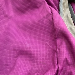 取引中　Coleman リュックの画像
