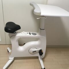エアロバイク Flexispot