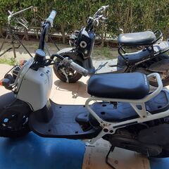 【交渉中】ホンダ　ズーマー（実働車）2台