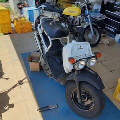 【交渉中】ホンダ　ズーマー（実働車）2台の画像