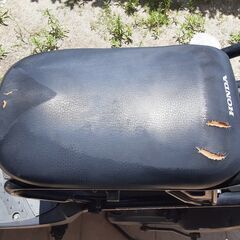 【交渉中】ホンダ　ズーマー（実働車）2台の画像