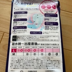 amethyst産褥ショーツ　お産用パッド3枚とショーツ1枚の画像