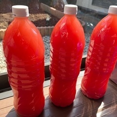 メダカ PSB 1.5L