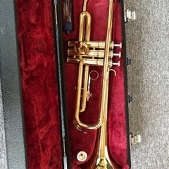 【5月31日まで】Yamaha Established in 1...