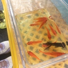 釣りイベントスタッフの画像