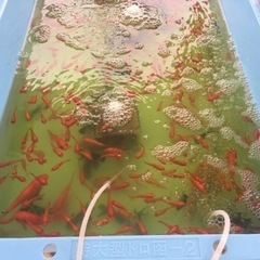 釣りイベントスタッフの画像