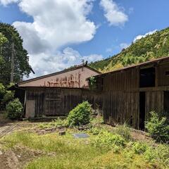 三重県熊野市の山林