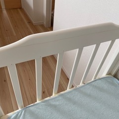 KATOJI ベビーベット(お取引き中)の画像