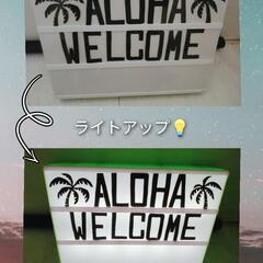 💡🌴キャピタルライトボード